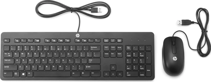 HP Slim Business Keyboard und Maus, USB, EU