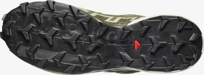 Salomon Speedcross 6 GTX aloe/aspargus green (Herren)