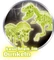 Clementoni Galileo Ausgrabungsset T-Rex & Triceratops fluoreszierend Vorschaubild