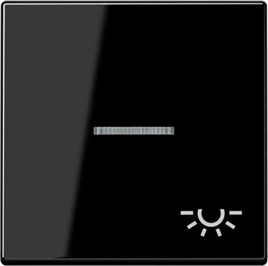 Jung Serie A Wippe mit Symbol Licht, schwarz