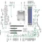 Supermicro X13SAQ, retail (Intel 1700) Vorschaubild