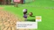 Mario Golf: Super Rush (Switch) Vorschaubild