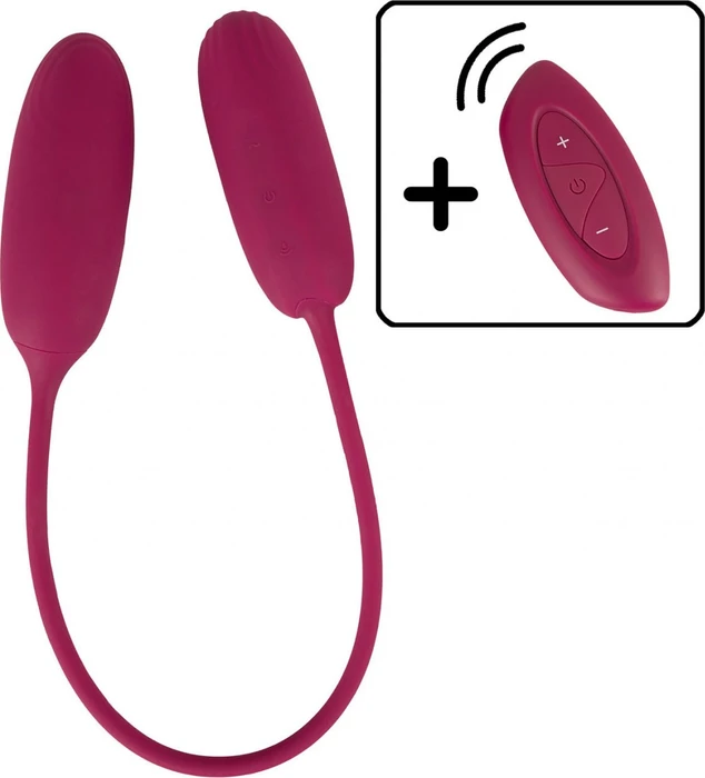 Sweet Smile RC Shaking & vibrating Love Egg Duo