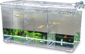 Hobby Nido 5, Ableichkasten
