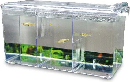 Hobby Nido