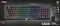 Trust Gaming GXT 890 Cada RGB, LEDs RGB, Outemu Red, USB, EU Vorschaubild
