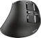 Trust Voxx Rechargeable Ergonomic Wireless Mouse, USB/Bluetooth Vorschaubild