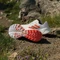 adidas Terrex Agravic Speed Ultra cloud white/impact orange/dash grey (Herren) Vorschaubild