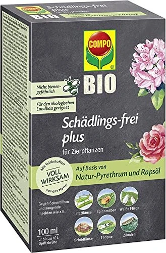 künstlichen olivenbaum Künstlicher Olivenbaum - Annemarie main image 0