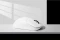 Keychron Lemokey G1 8K Wireless Mouse weiß, USB/Bluetooth Vorschaubild