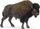 Schleich Wild Life - Bison (14879)
