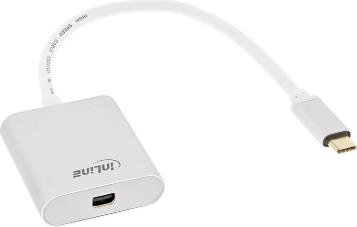 InLine Monitor Konverter USB-C Stecker auf Diplayport-Mini Buchse silber