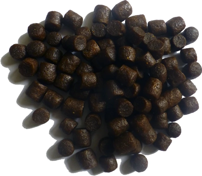 Aquarium Münster Dr. Bassleer Biofish-Food Regular 3XL, 170g