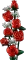 LEGO Botanicals - Rosenstrauß Vorschaubild