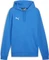 Puma teamGOAL 23 Hoodie (Herren) Vorschaubild
