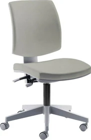 Mayer Sitzmöbel myFlexo 2432 Kinderdrehstuhl, grau