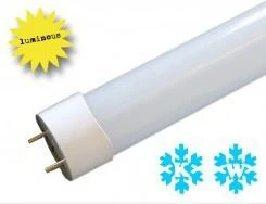 Luminous Röhre Ecoline 8W GU13 6000K (27812)