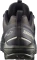 Salomon X Ultra Alpine GTX black/peat/aspargus green (Herren) Vorschaubild