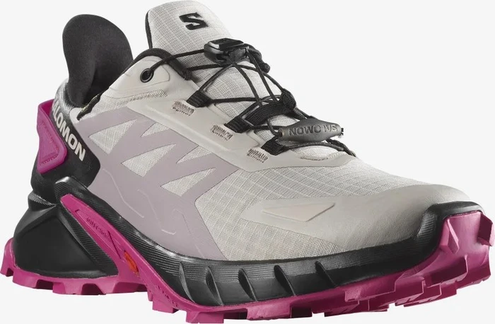 Salomon Supercross 4 GTX ashes of roses/black/very berry (Damen)