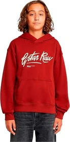 G-Star Loose Brushed Hoodie dark baron (Junior)
