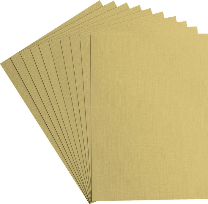 Vaessen Creative Tonkarton, A4, glatt, Salamander, 10 Blatt