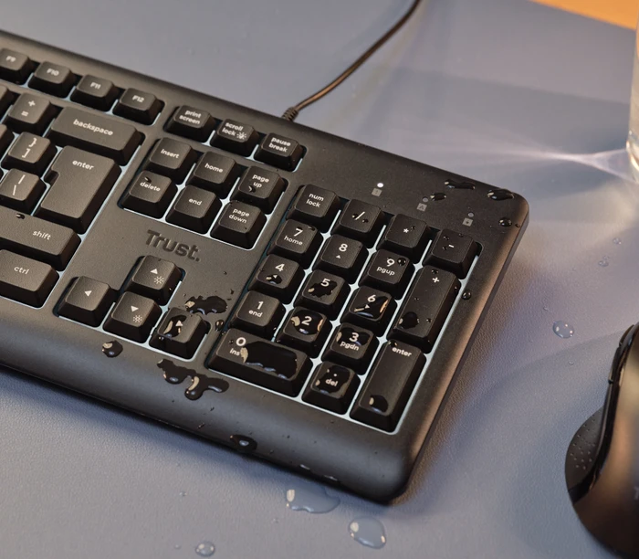 Trust Primo Illuminated Keyboard, LEDs weiß, USB, US