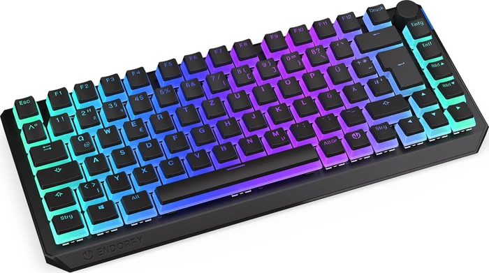 Endorfy Thock 75% Wireless Pudding, PBT, LEDs RGB, hot-swap, Kailh Box BLACK, USB/Bluetooth, DE