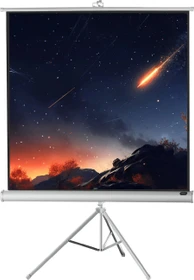 Celexon Stativleinwand Economy White Edition 244x244cm