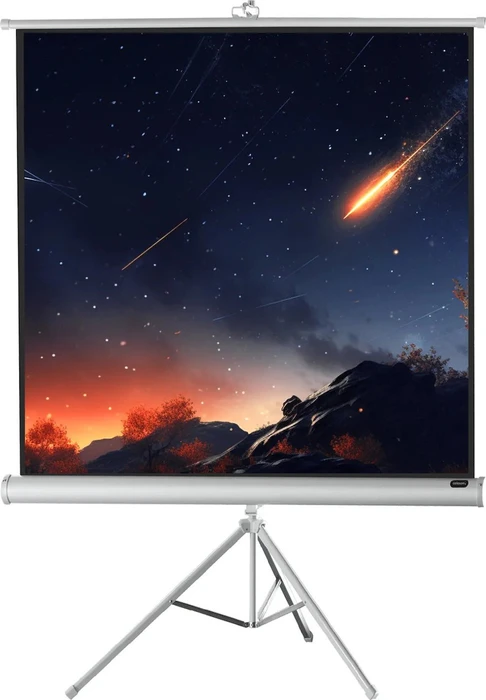 Celexon Stativleinwand Economy White Edition 244x244cm