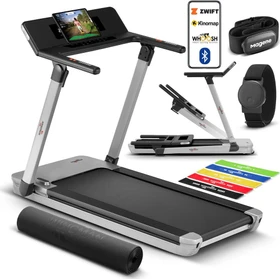 Wingman TDX15 Pro Laufband