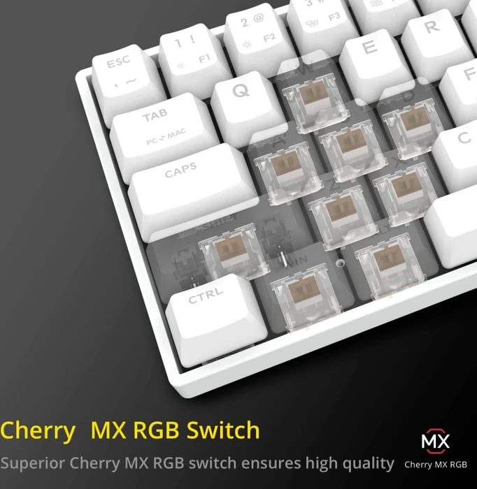 Drevo Calibur V2 TE PC/Mac, LEDs RGB, weiß, MX RGB BROWN, USB, UK