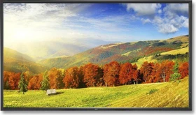 NEC MultiSync X551UHD, 55"