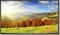 NEC MultiSync X551UHD, 55" Vorschaubild