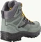 Jack Wolfskin Rebellion Guide Texapore Mid gecko green (Herren) Vorschaubild