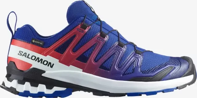Salomon XA Pro 3D V9 GTX Equipe surf the web/fiery red/white (Herren)