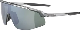 Alpina Turbo Pro Q-Lite grey transparent/mirror silver
