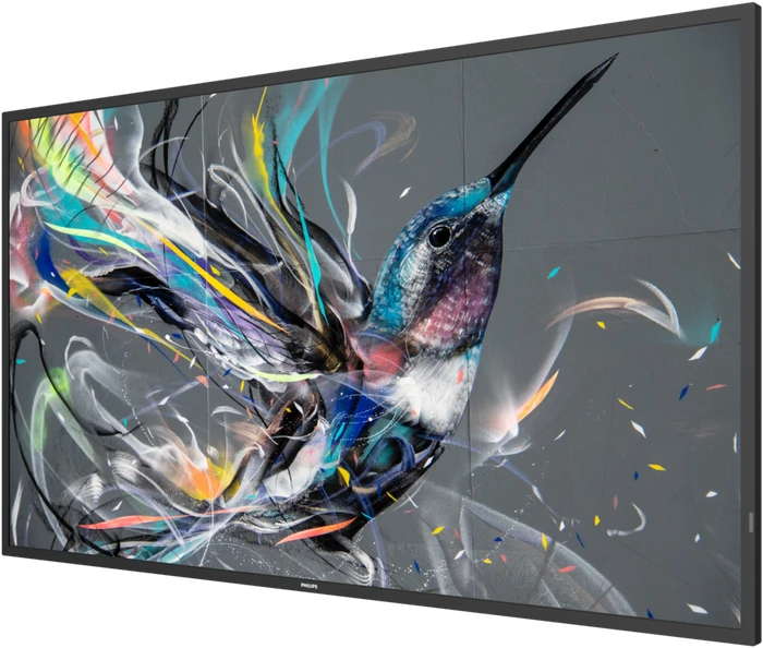 Philips Q-Line 50BDL3511Q, 49.5"