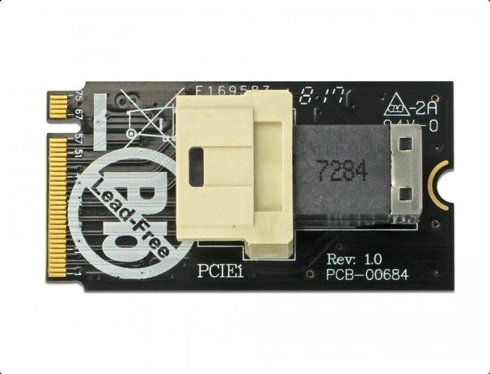 DeLOCK M.2 PCIe -> U.2 miniSAS HD