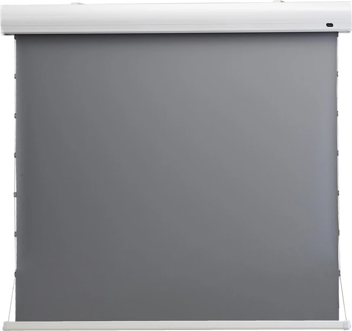 Celexon Leinwand HomeCinema Tension 298x168cm