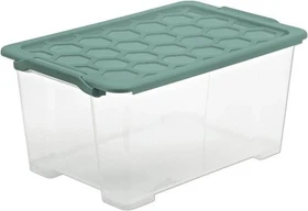 Rotho Evo Safe Keeping Aufbewahrungsbox, 44l, transparent/mistelgrün, inkl. Deckel