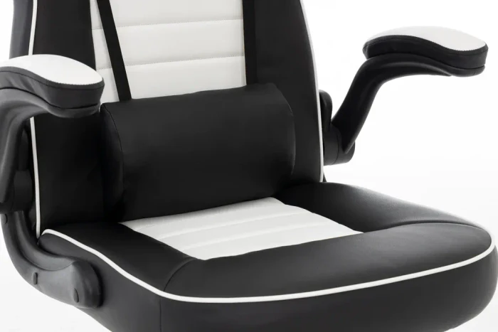 Raptor Gaming GS-50 Gamingstuhl, schwarz/weiß