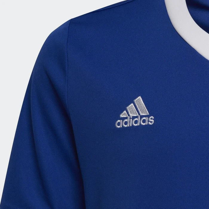 adidas Entrada 22 Trikot kurzarm royal blue (Junior)