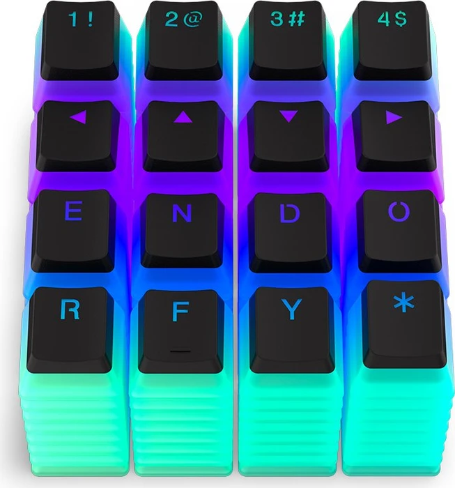 Endorfy PBT Pudding Keycaps, Kunststoff (PBT) Double-Shot, schwarz/transparent, 124 Tasten, ANSI-US