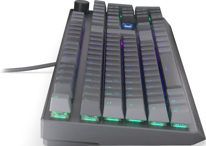 Endorfy Thock V2, PBT, grau, LEDs RGB, hot-swap, Endorfy RED, USB, DE