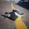 adidas Adizero Adios Pro 3 cobalt blue/zero metalic/lucid lemon (Damen) Vorschaubild