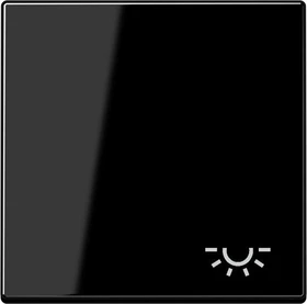 Jung Serie A Wippe mit Symbol Licht, schwarz