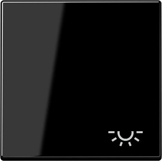 Jung Serie A Wippe mit Symbol Licht, schwarz