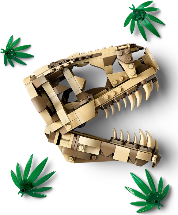 LEGO Jurassic World - Dinosaurier-Fossilien: T-Rex-Kopf