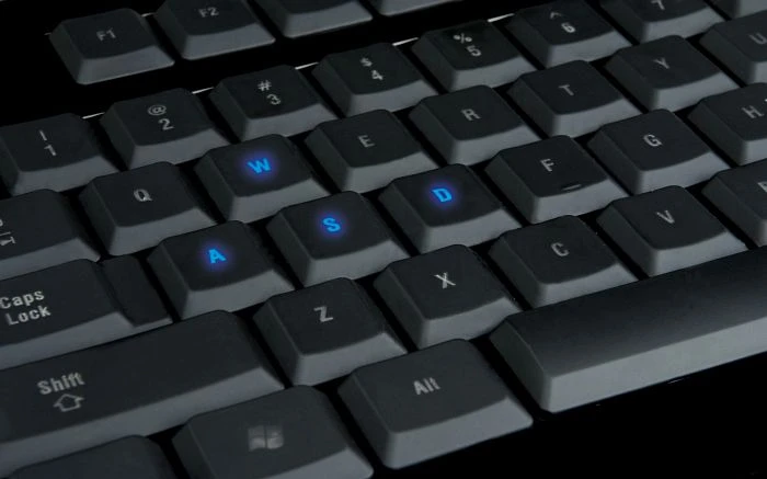 Razer Lycosa, USB, DE