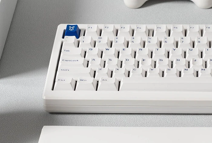 Akko MOD 007B PC, Blue on White, LEDs RGB, hot-swap, Ice Cream Purple, USB/Bluetooth, US